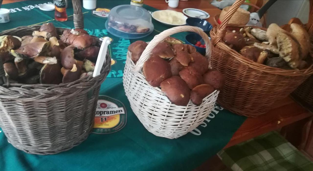 Sedmikraska Villa Horní Maršov Eksteriør bilde
