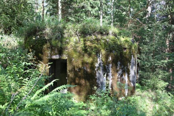 Sedmikraska Villa Horní Maršov Eksteriør bilde